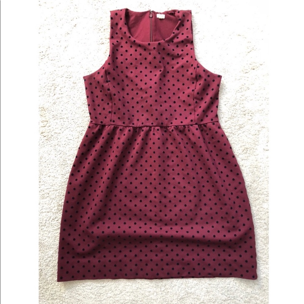 Jcrew polka dot dress